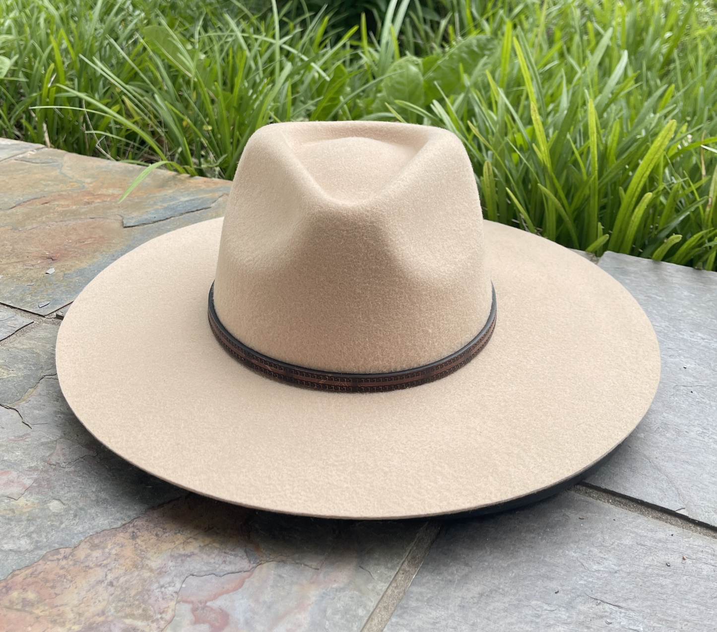 The Tan Rancher