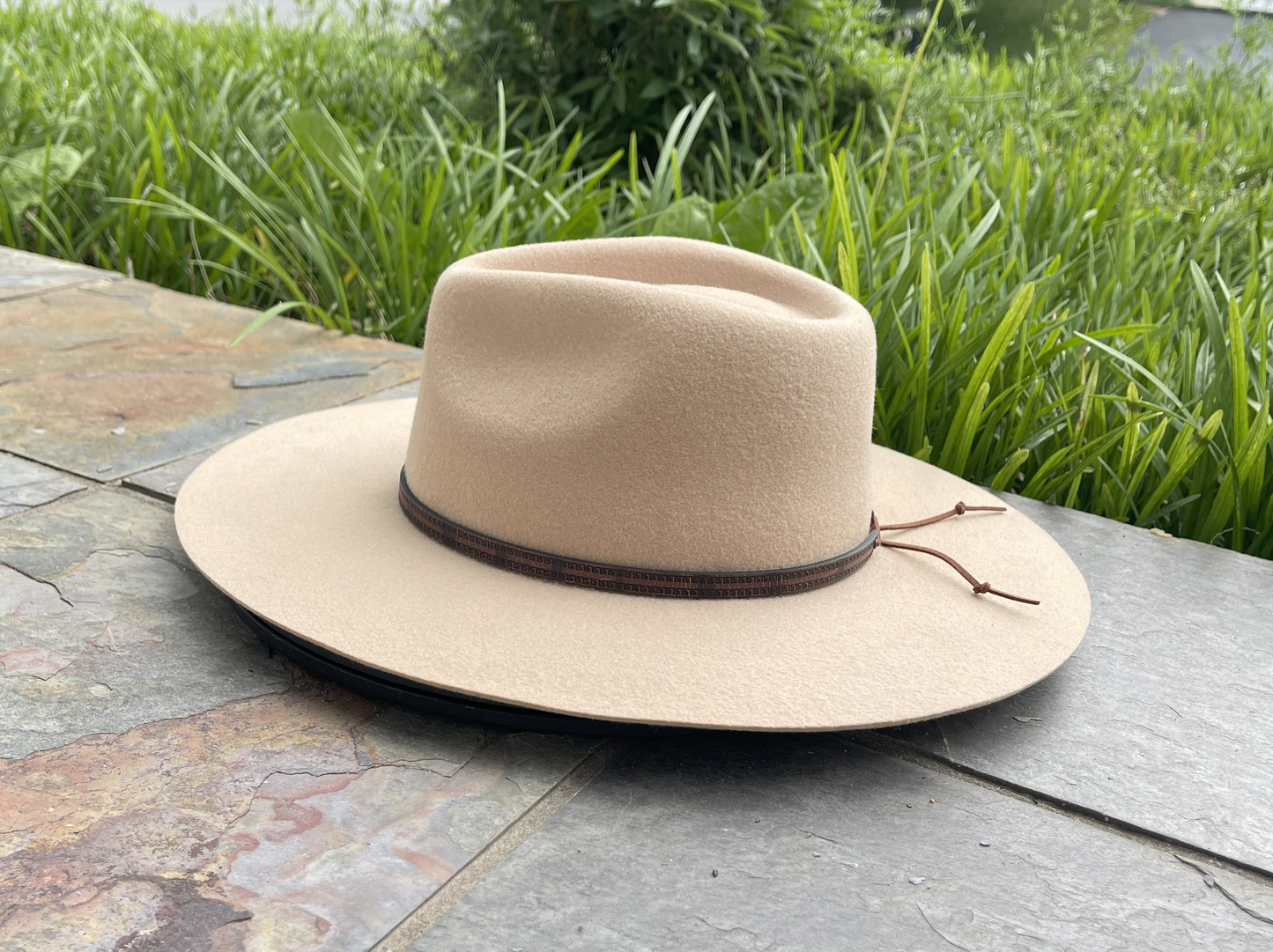 The Tan Rancher